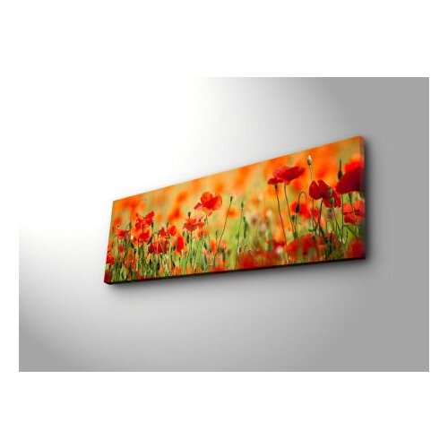 Shining Slika na platnu sa LED osvetljenjem 30x90cm Slike