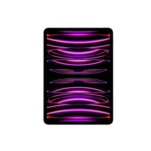 Apple 11-inch iPad Pro Wi-Fi 2TB Space Gray, (20397583) Cene