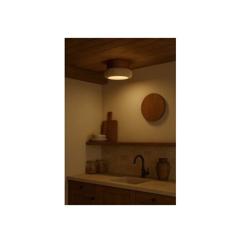 Opviq zidna lampa worm s oak Cene