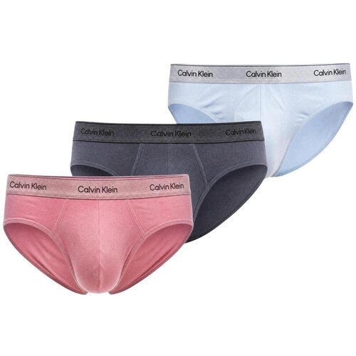 Calvin Klein Jeans Spodnje hlače HIP BRIEF 3PK LV00NB4574 Siva Slike