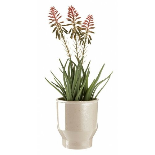  Veštačka biljka Rasmus V51cm sa cvet. ( 4912184 ) Cene