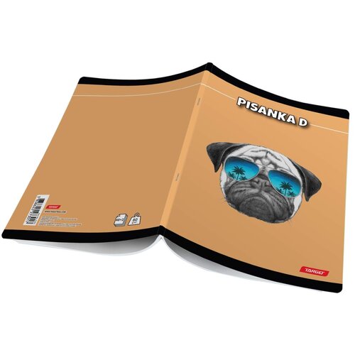 Target bilježnica pisanka d cool 27301 Cijene