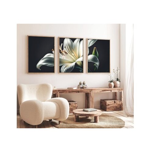 WALLXPERT Uramljena slika Huhu224, 20x30 cm, 3 dijela Cijene