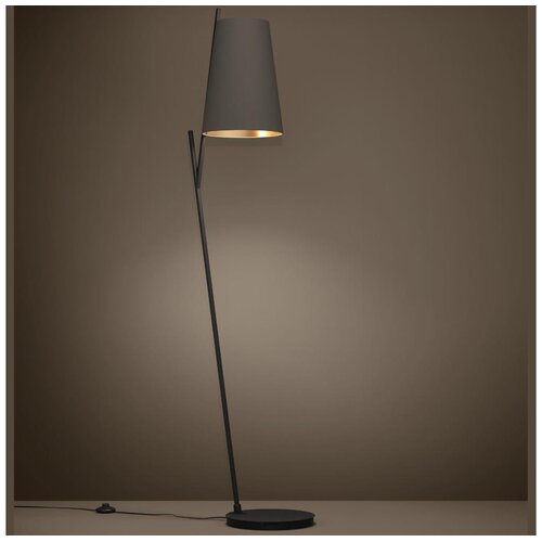 Eglo 390197 - Podna lampa PETROSA 1xE27/40W/230V braon Cene