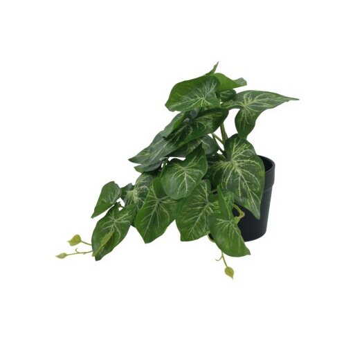 Dekordom Cvet u saksiji mons jw-a9-38 - n13 ( 025168 ) Slike