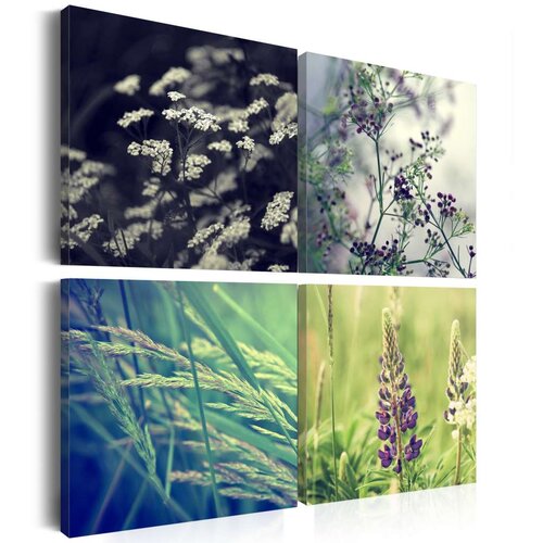  Slika - Magical field 80x80 Cijene