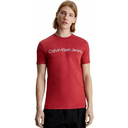 Calvin Klein muška logo majica  CKJ30J322344-XA0 Cene