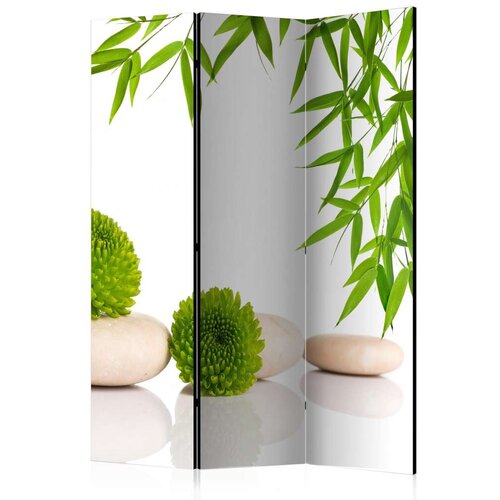  Paravan u 3 dijela - Green Relax [Room Dividers] 135x172 Cijene