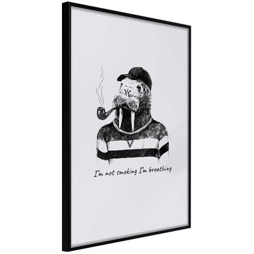 Poster - Captain Walrus 40x60 Slike