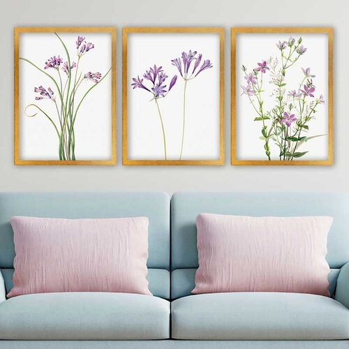 Wallity Set uramljenih slika 3AC_2613520, 3 Dela Cene