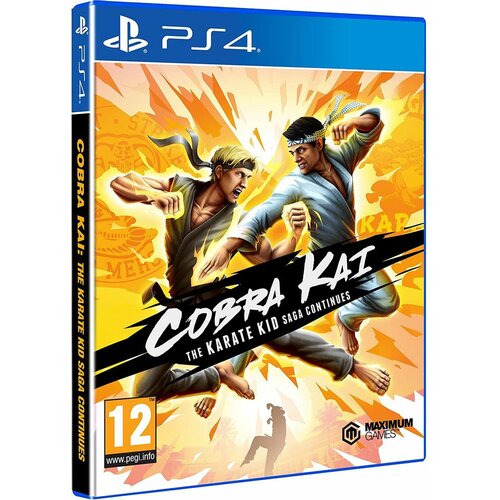 Playstation PS4 Cobra Kai: The Karate Kid Saga Continues ( 040919 ) Slike