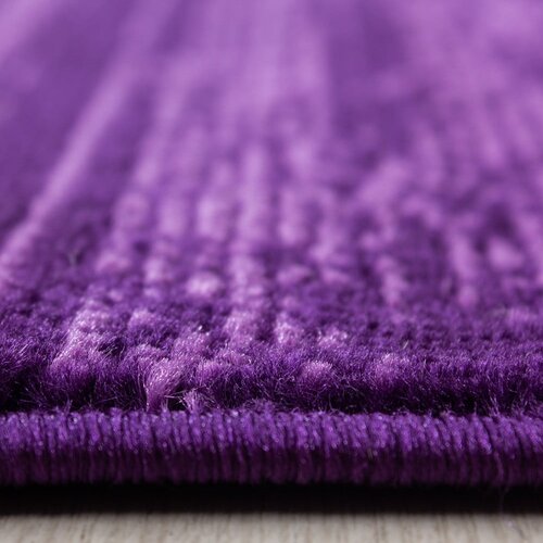 Ayyildiz Carpets Temno vijolična preproga 160x230 cm Plus &amp;ndash; Slike
