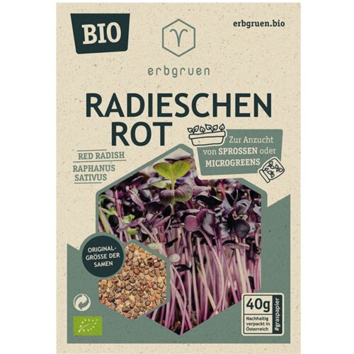  Rdeča redkev - BIO semena za mikrozelenje/kalčke - 1 pkt. Cene