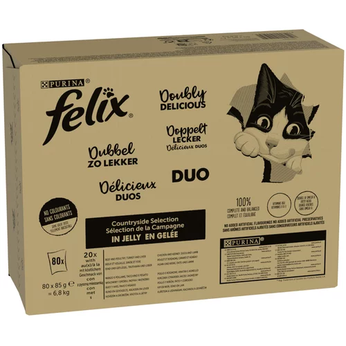 Felix Mega pakiranje "So gut wie es aussieht" 80 x 85 g - Doubly Delicious Countryside Selection