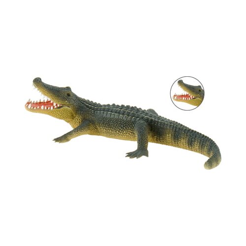  Safari - Aligator Slike
