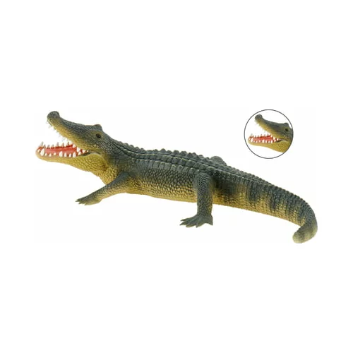  Safari - Aligator