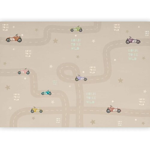  Foto tapeta - Racing Cars 250x175 Vodootporna Slike