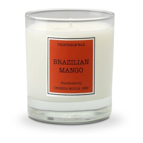 Shumee Sveča CM-Santiago 230gr. Brazilski mango, (21397371) Cene