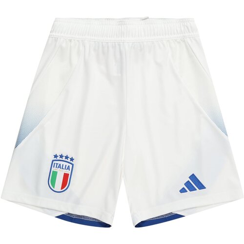 Adidas Športne hlače 'Italy 24' modra / zelena / češnjevo rdeča / bela Cene