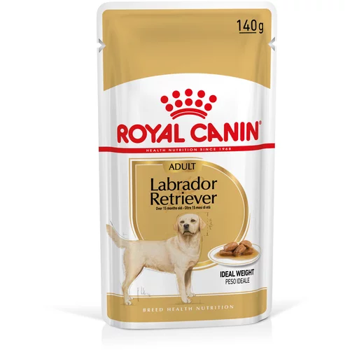 Royal Canin Breed Labrador Retriever Adult mokra hrana - Varčno pakiranje: 20 x 140 g