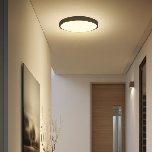  LED stropno svetlo za kupatilo LED/24W/230V IP44 3000K &amp;Oslash; 29 cm crno Slike
