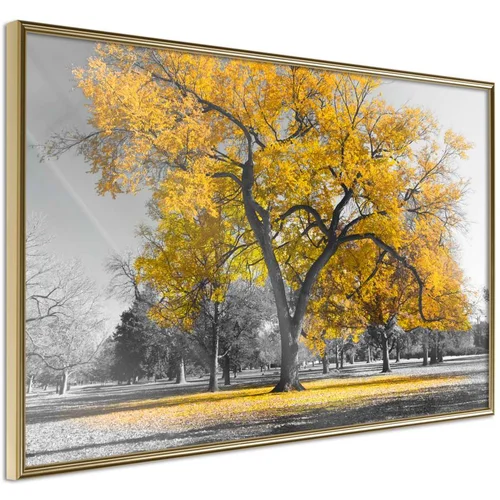  Poster - Golden Tree 45x30