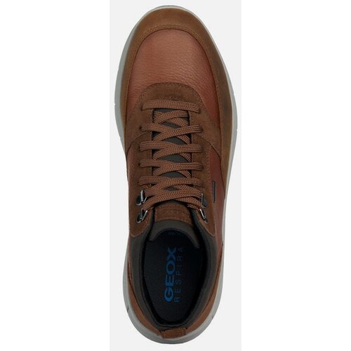 Geox Brown men's ankle shoes Spherica 4x4 B Abx - Men's Cene