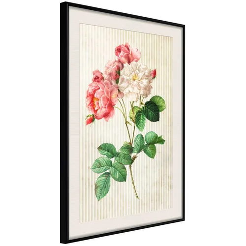  Poster - Romance II 40x60