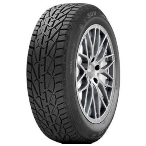 Tigar winter ( 205/60 R16 96H XL ) Slike