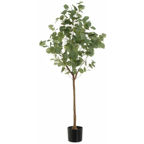 Casa Selección Umjetna biljka Eucalyptus –