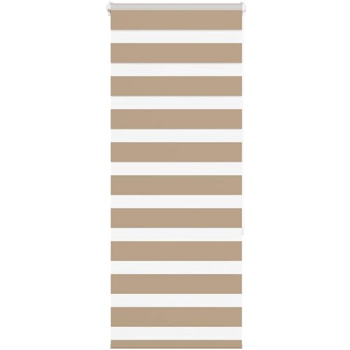 vidaXL Zebra zavesa peščeno rjava 65x150 cm širina blaga 60,9 cm poliester, (5000297173) Cene