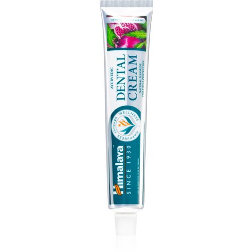 Himalaya Herbals Oral Care Ayurvedic Dental Cream biljna pasta za zube s fluoridem mješavina boja 100 g Cijene