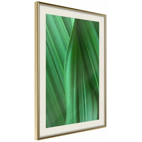  Poster - Leaf Structure 40x60