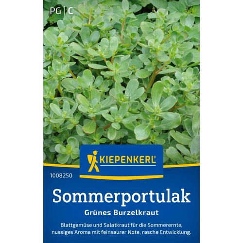 KIEPENKERL Poletni tol&amp;scaron;čak (portulak) - 1 pkt. Slike