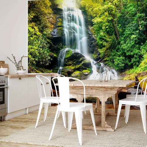  Foto tapeta - Wonder of nature 450x315 Cene