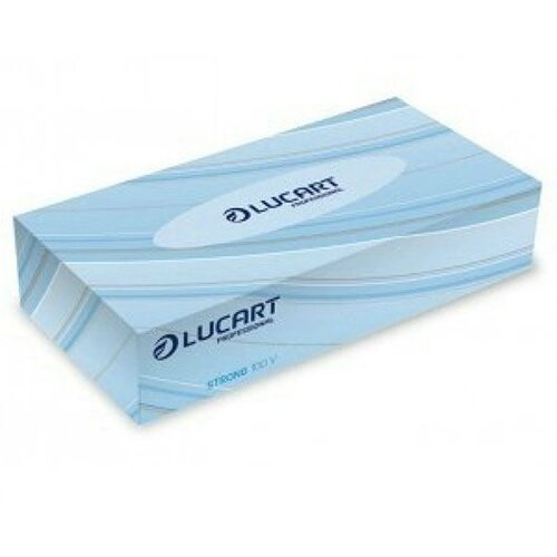 Lucart Dvoslojne maramice u kutiji Strong 100 V Slike