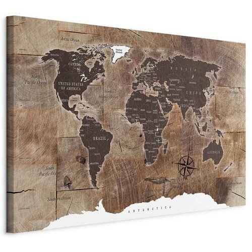 Artgeist Slika Na Platnu World Map Cene