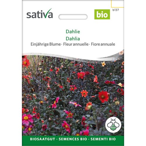 BIO enoletnica "Dalija" - 0,50 g Cene