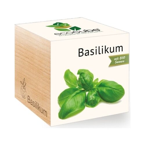 Feel Green ecocube "zelišča" - bazilika Cene