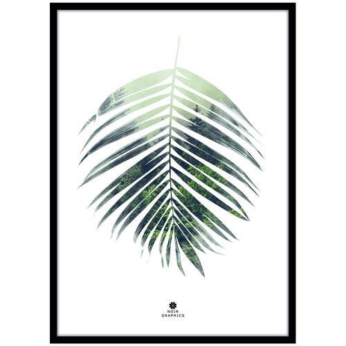 Malerifabrikken Plakat z okvirjem 50x70 cm Palm Leaf – Cene