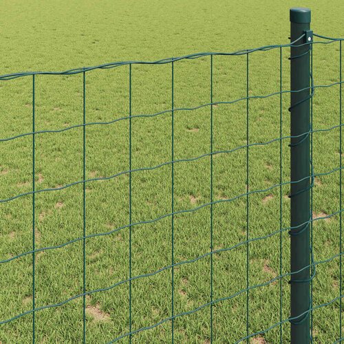 Euro ograda 0,6 x 10 m Željezo prekriveno PVC-om Zelena Slike