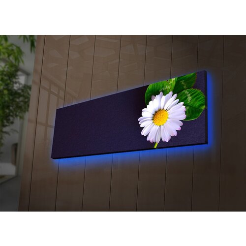 Wallity Slika sa LED osvetljenjem 3090DACT-56, 30x90 cm Cene