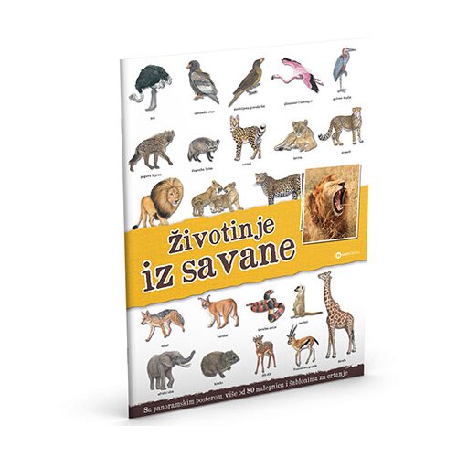 Data Status Panorama: životinje iz savane Slike