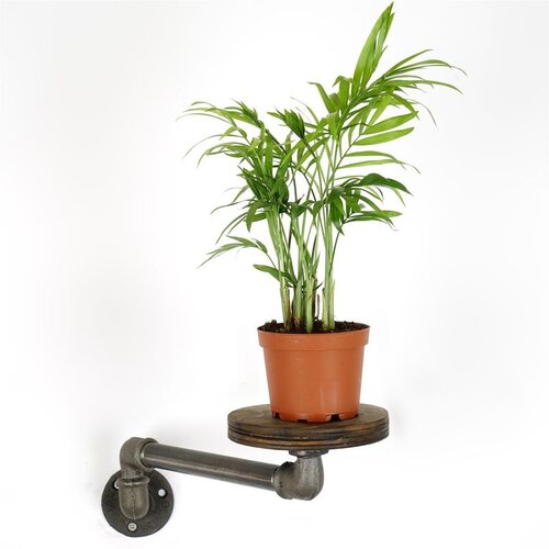 WALLXPERT Držač za cvijeće BORURAF261, 35x12x10 cm Cijene