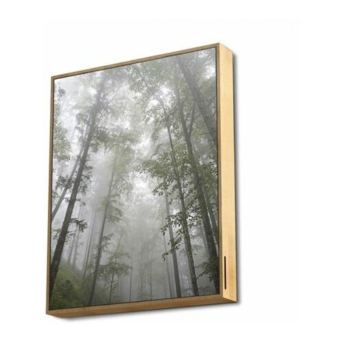 Energy Sistem Frame Forrest bluetooth svetlo braon sa motivima šume zvučnik Slike