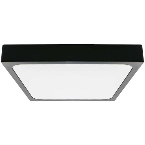  LED plafonsko svetlo za kupatilo LED/30W/230V 3000K IP44 crna Cene