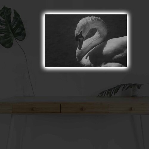 Wallity Zidna slika sa LED osvetljenjem 4570DHDACT-051, 45x70 cm Cijene