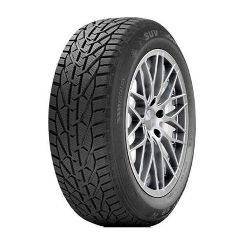 Tigar winter ( 195/65 R15 91H ) Slike