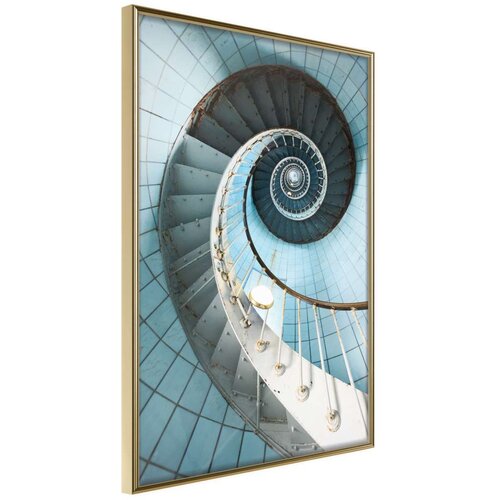  Poster - Golden Ratio 30x45 Cijene
