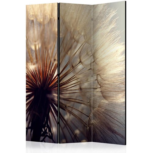 Artgeist PARAVAN 135/172/3 cm barve medu, bež Cene